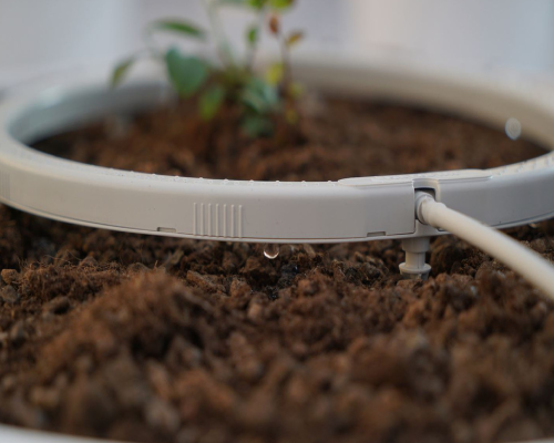 Equilíbrio e Economia